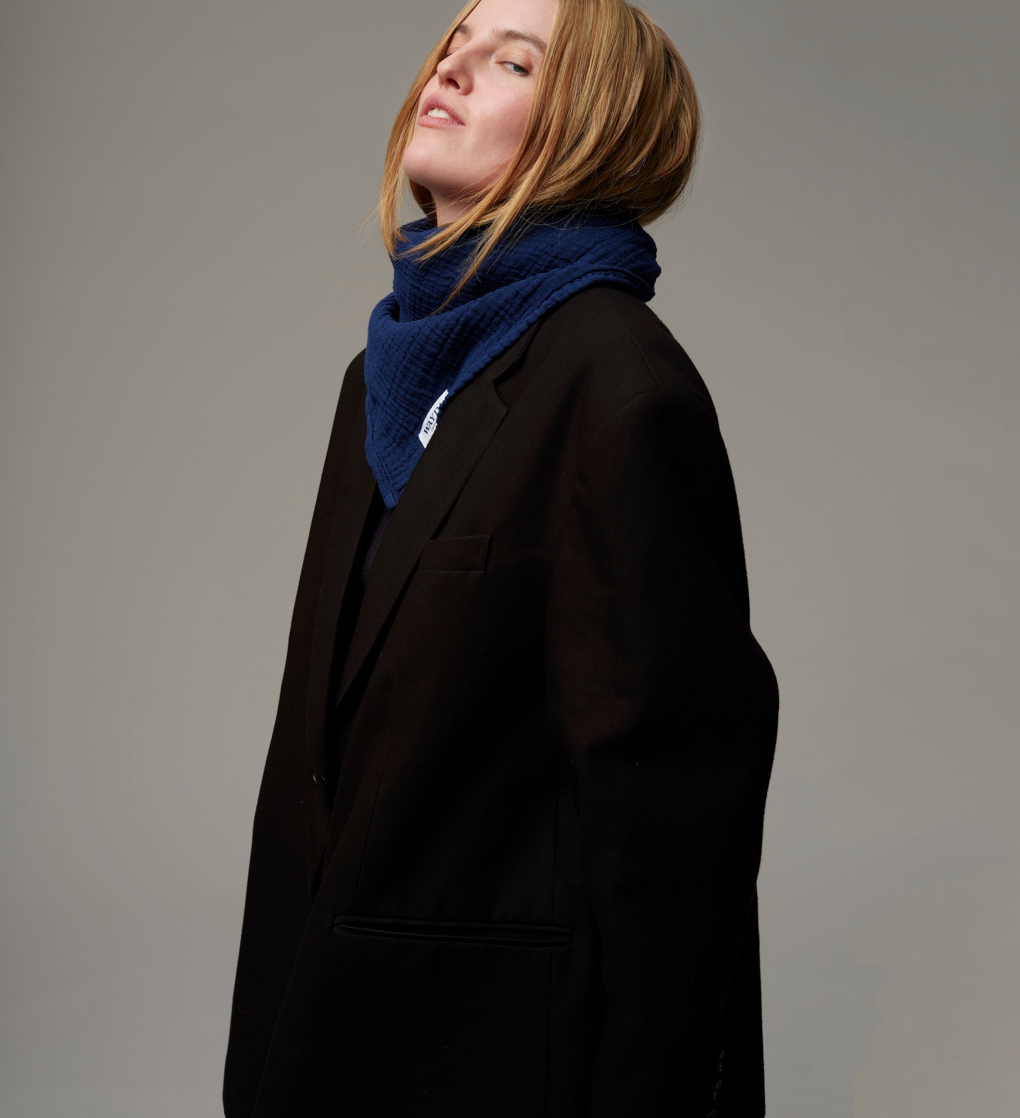 Grundsatz BLAU-2
